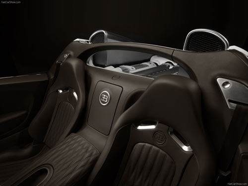 Bugatti Veyron Grand Sport 5