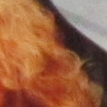  iso800_1.jpg 