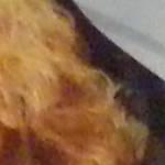  iso800_1.jpg 