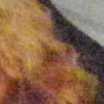  iso1600_1.jpg 