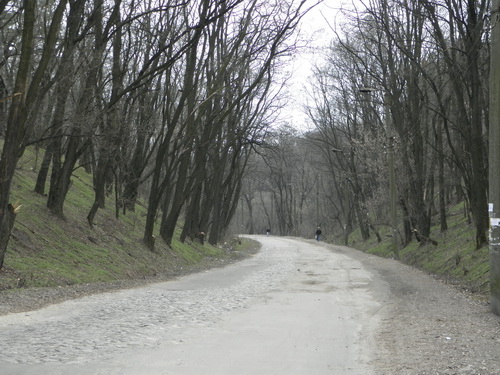  P4010017.JPG 