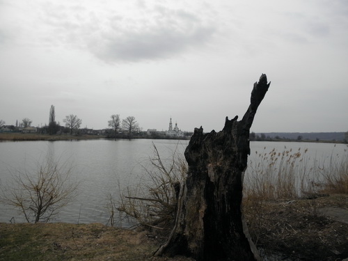  P4010024.JPG 