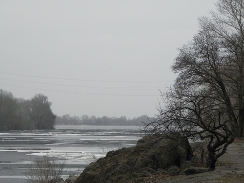  P4010059.JPG 