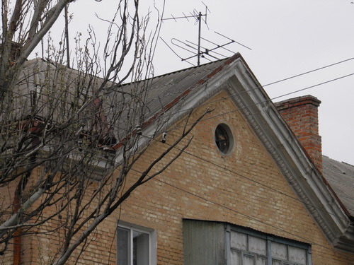  P4210096.JPG 