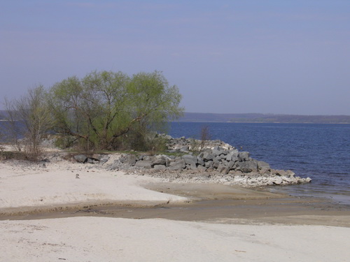  P4220141.JPG 
