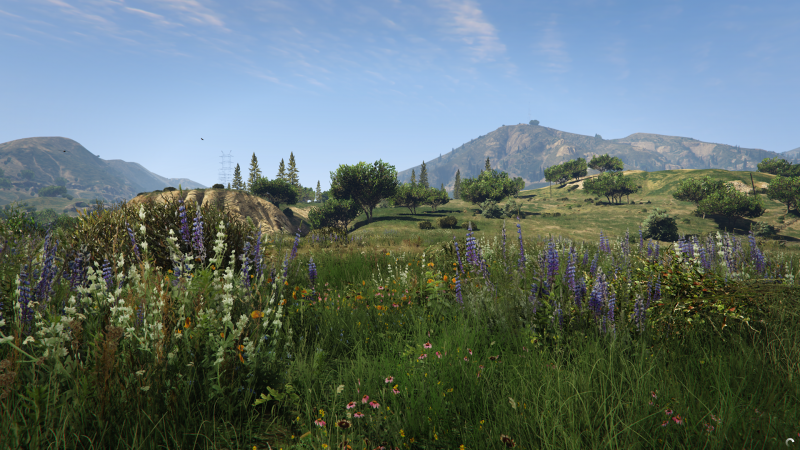  Grass Quality: Ultra 