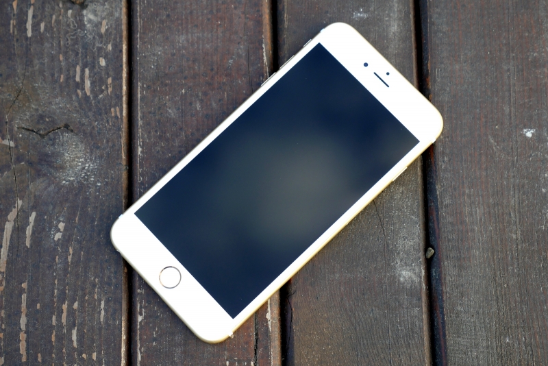 Apple iPhone 6s, лицевая панель: над экраном &mdash; разговорный динамик, фронтальная камера и датчик освещенности; под экраном &mdash; кнопка Home 