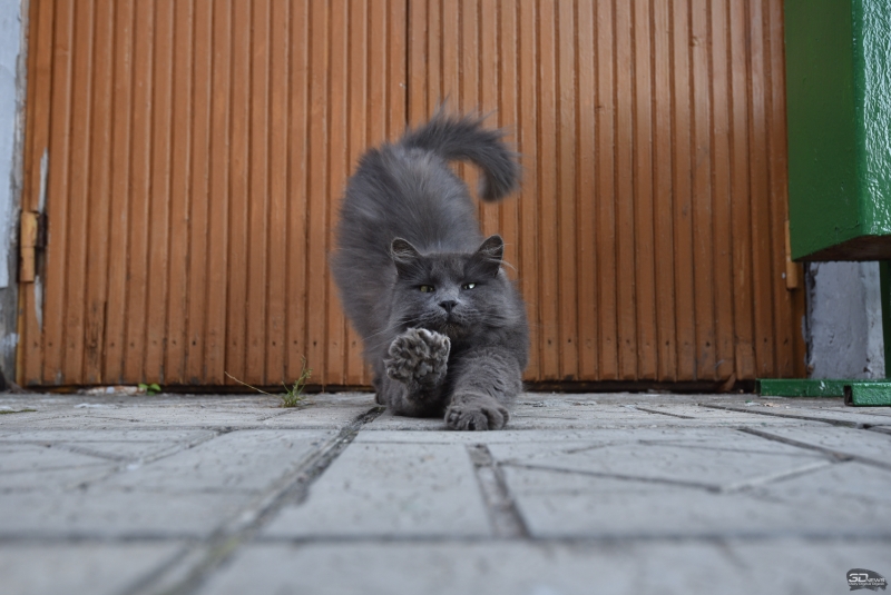  35 мм, f/6.3, 1/80, ISO 320 