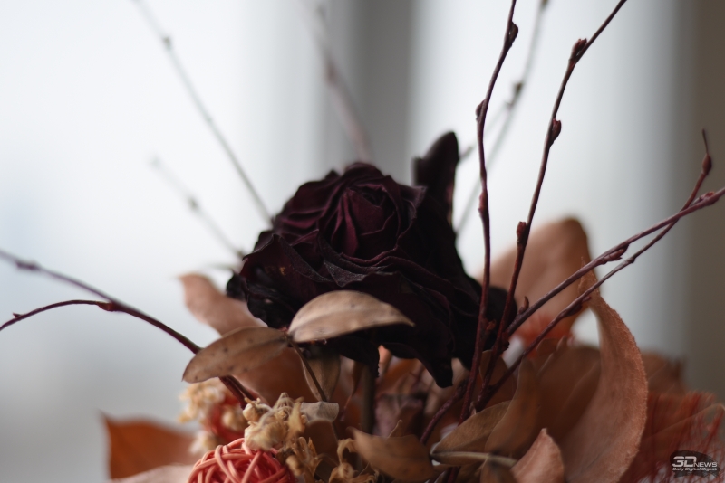  f/1.8, 1/400, ISO 100 