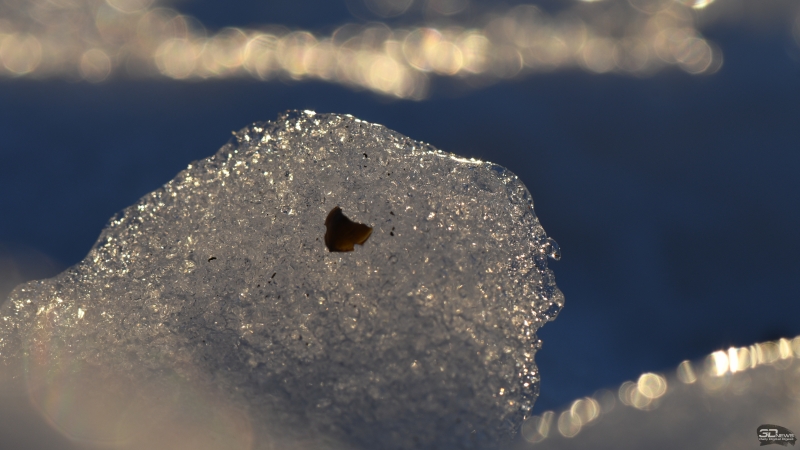  f/11, 1/160, ISO 180 