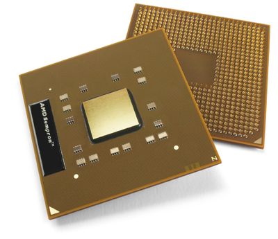  AMD 