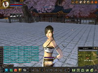 Hero Online