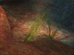 Example 5, With Transform & Lighting
