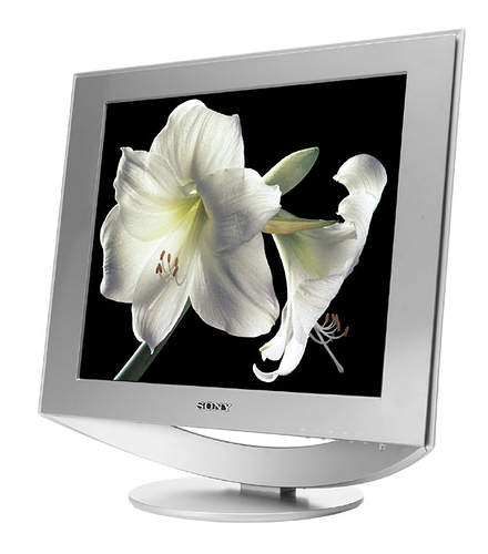 Sony SDM-HS73P