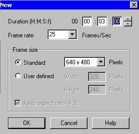  Video Paint 