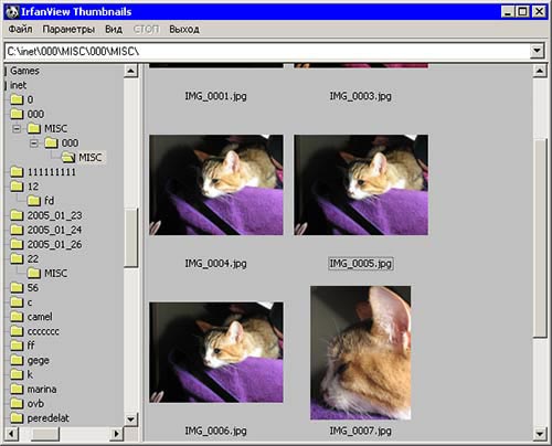 IrfanView 3.97